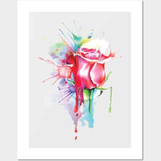 Water Color Rose Posters and Art